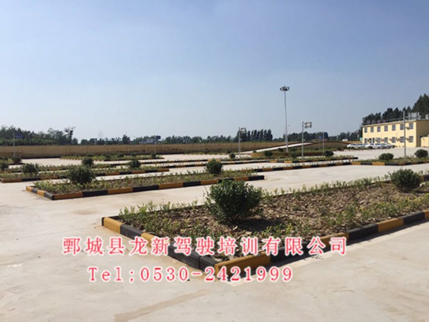 点击查看详细信息<br>标题：校内展示 阅读次数：1308