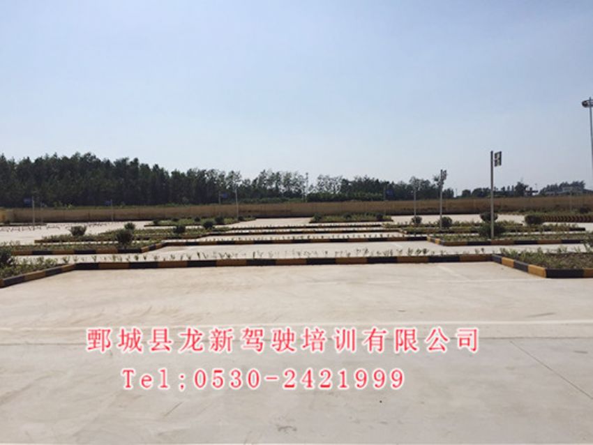 点击查看详细信息<br>标题：校内展示 阅读次数：1315