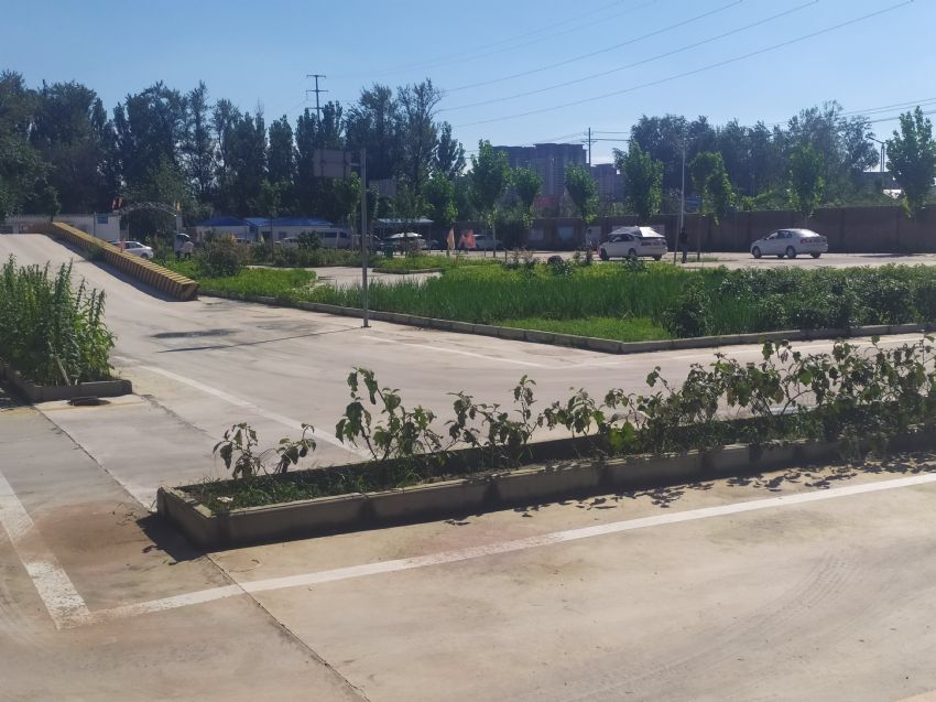 点击查看详细信息<br>标题：校内展示 阅读次数：1008