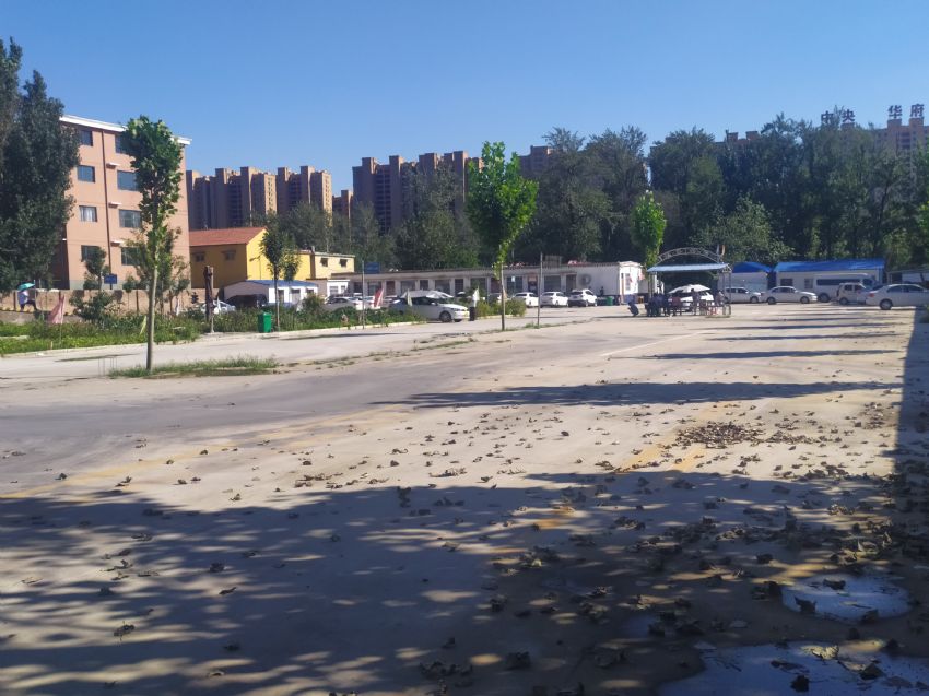 点击查看详细信息<br>标题：校内展示 阅读次数：867