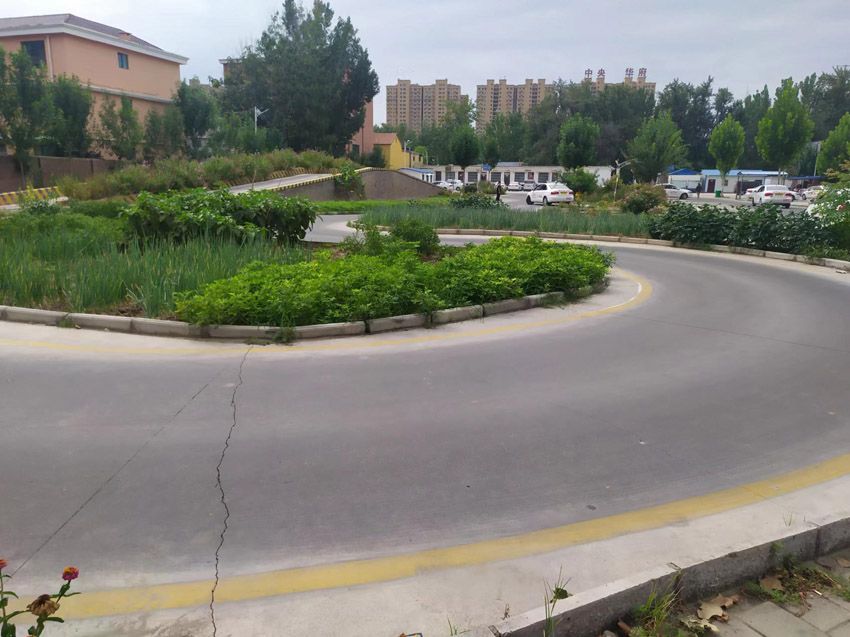 点击查看详细信息<br>标题：校内展示 阅读次数：771