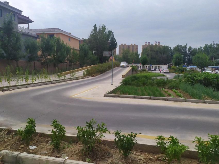 点击查看详细信息<br>标题：校内展示 阅读次数：742