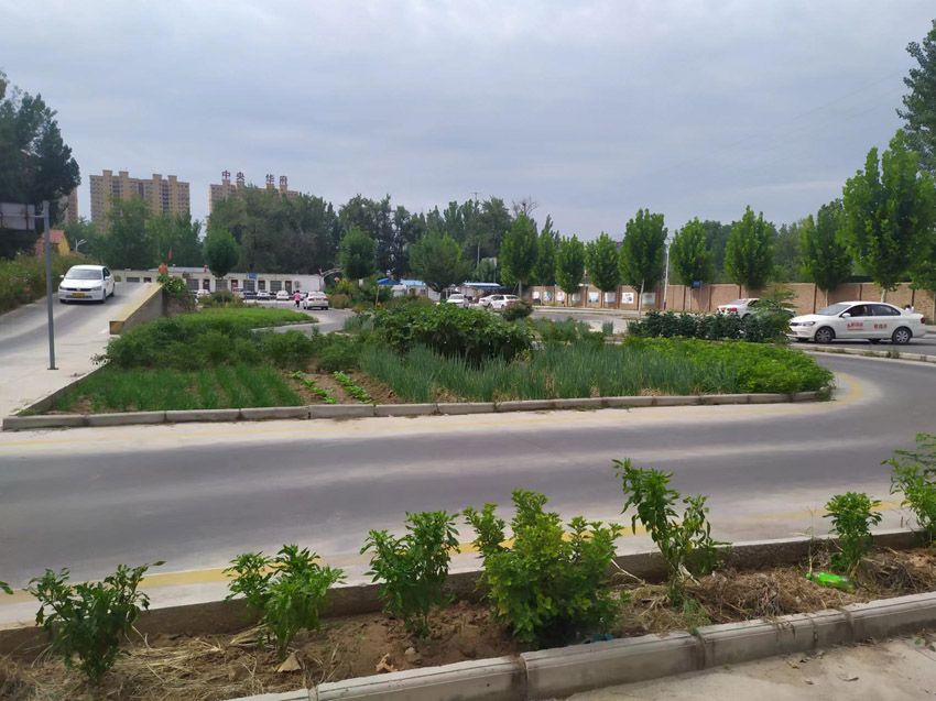 点击查看详细信息<br>标题：校内展示 阅读次数：809